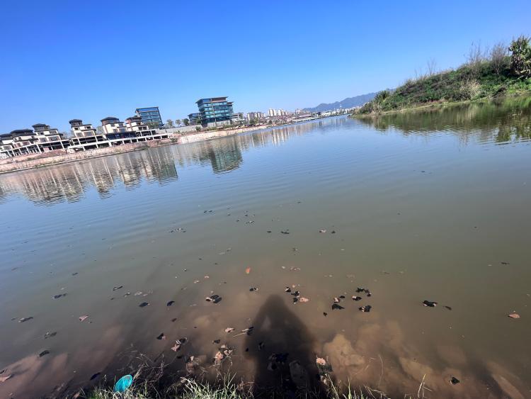 璧山御湖水环境状况急待全面治理