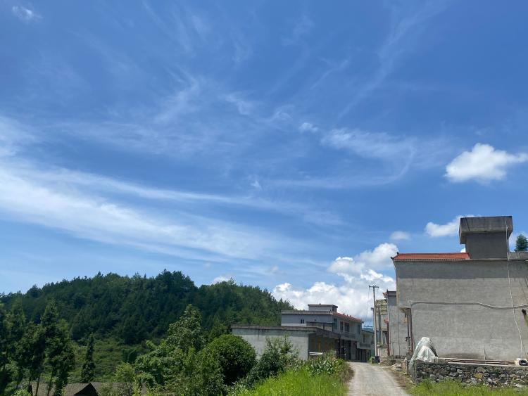 能做出回复村支书记 :杨军飞地址:重庆市彭水县桑柘镇李家社区6组2