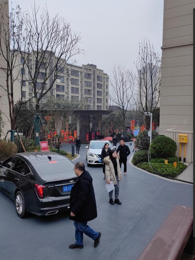 关于北碚区中骏弘阳樾景台三期的一系列问题正文