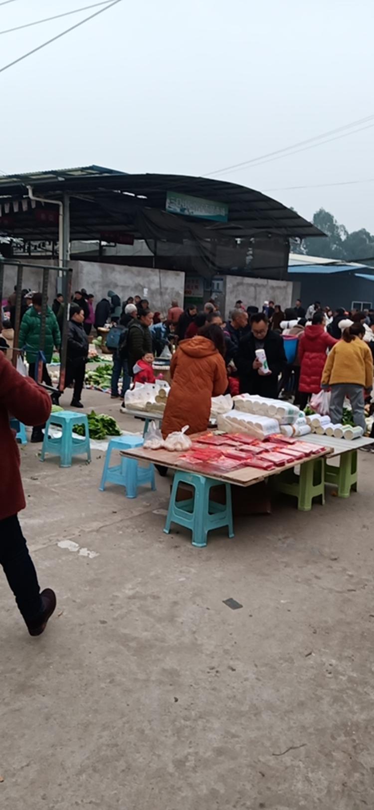 银翔城主要涉及土场镇三口社区和坝子社区,目前常住人口1.