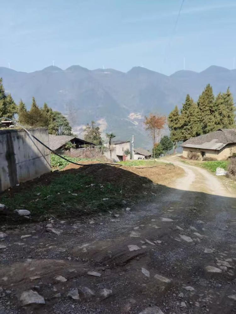 奉节县冯坪乡南津村14组道路问题