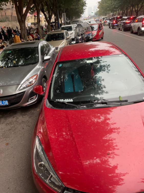 重庆市大渡口区半岛逸景车辆随意停放占用车行道正文