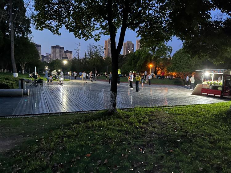 蔡家森林公园噪音扰民正文