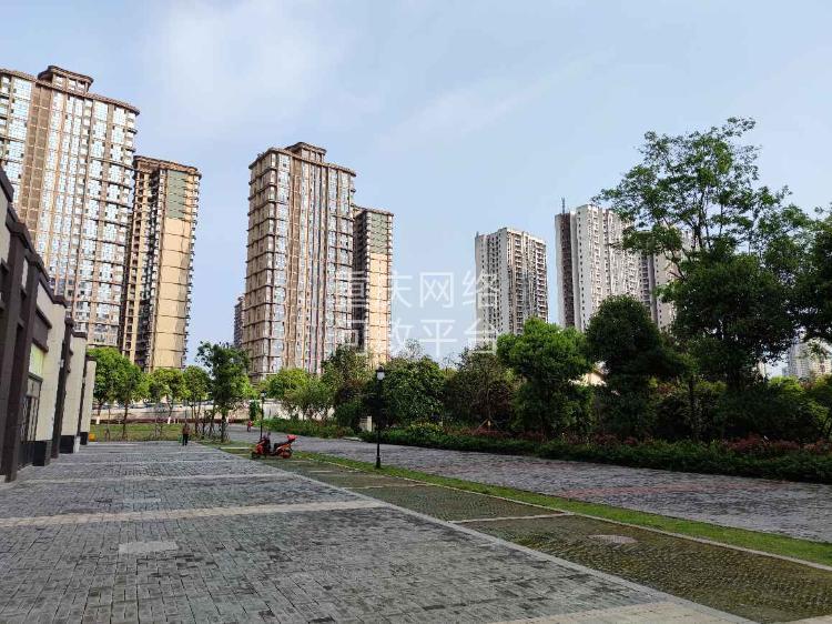九龙坡区中梁山街道双山路交通及市政面貌问题突出-重庆网络问政平台