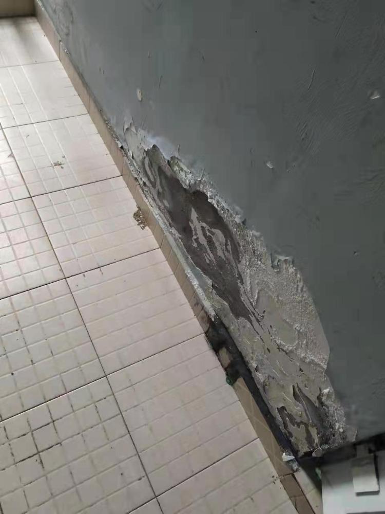 蔡家两江名居公租房待解决问题正文