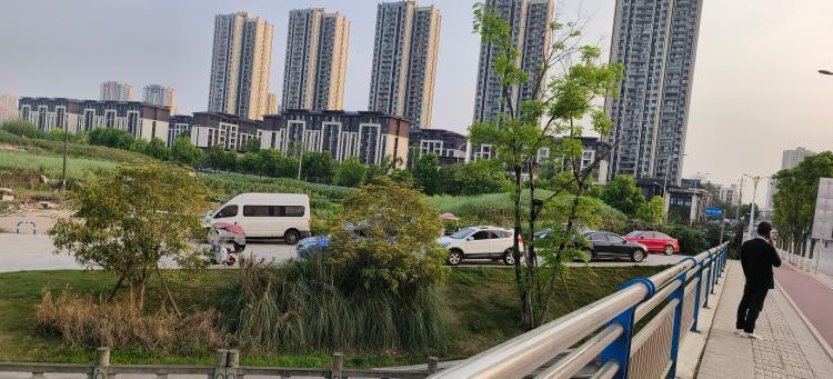 江津双福新区大溪河公园管理问题-重庆网络问政平台