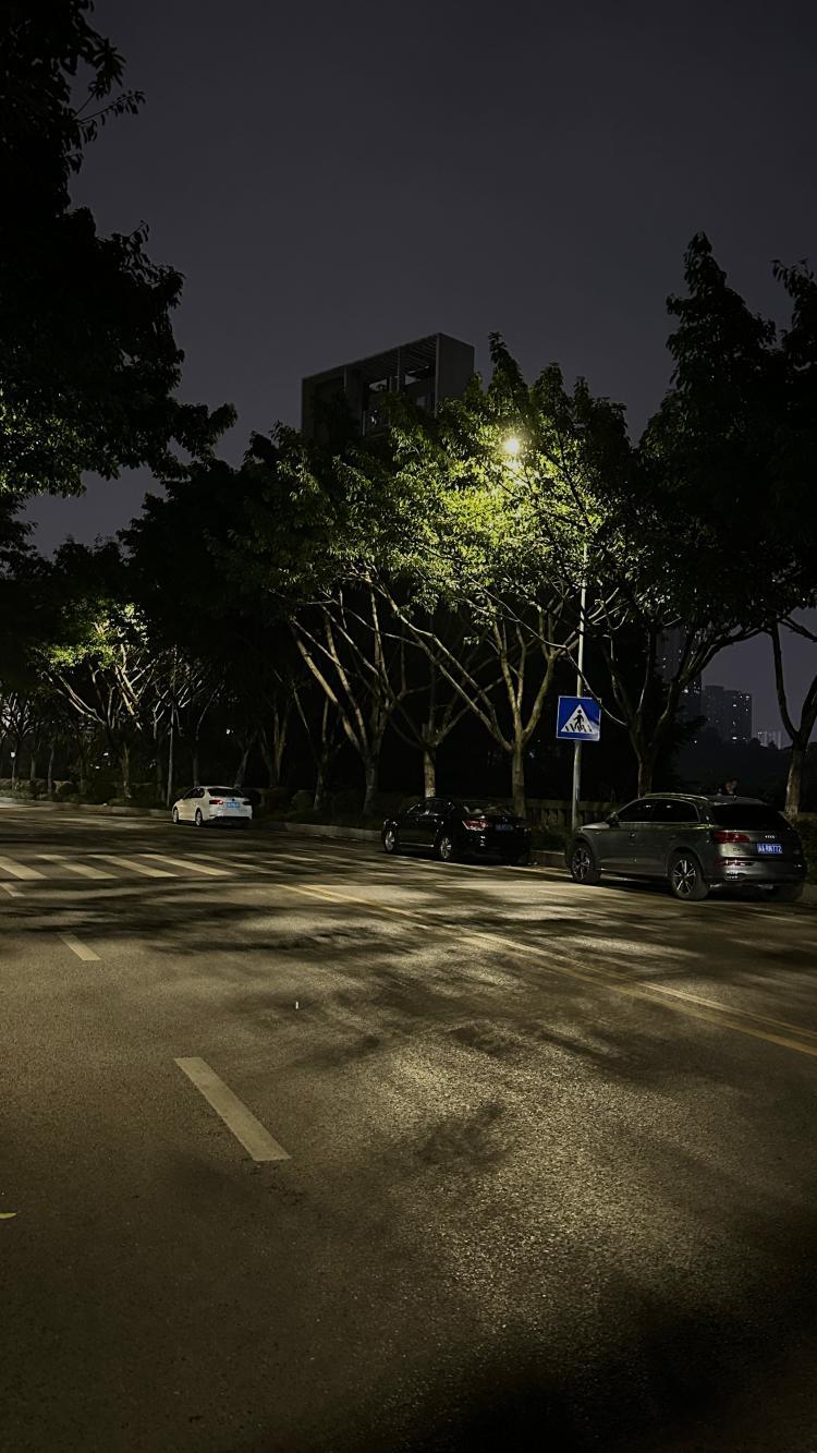 深夜路灯,背影(第2页)_大山谷图库