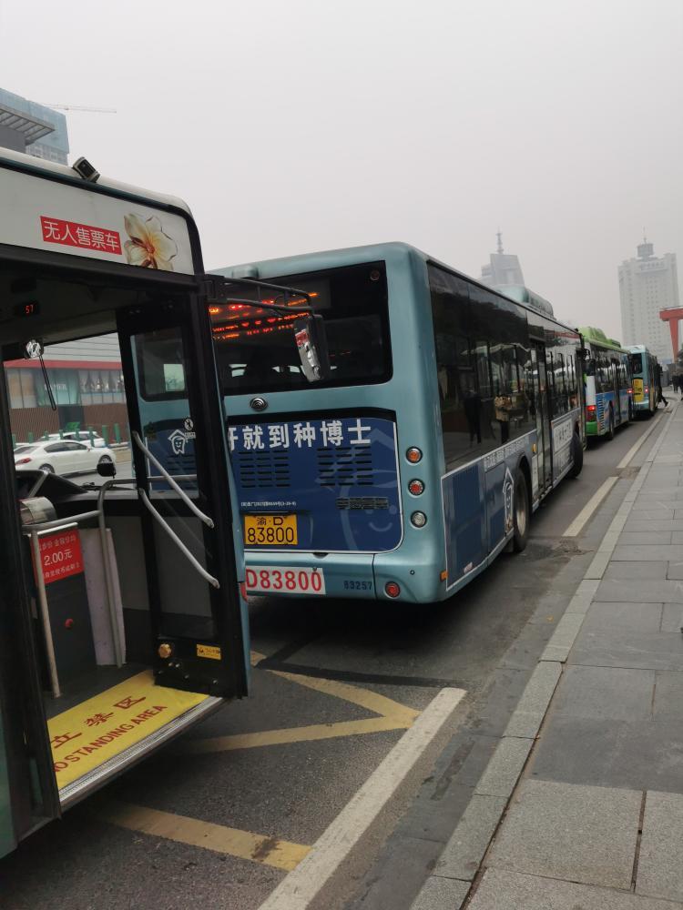 重庆公交210路线路图图片