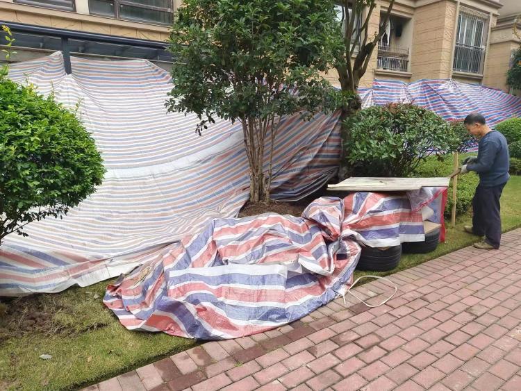 违建举报-重庆网络问政平台