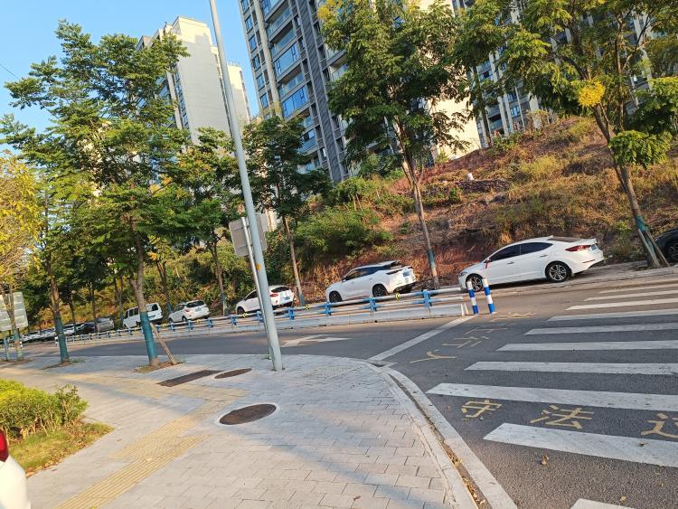 空港大道 港通大道  公路和人行道乱停车