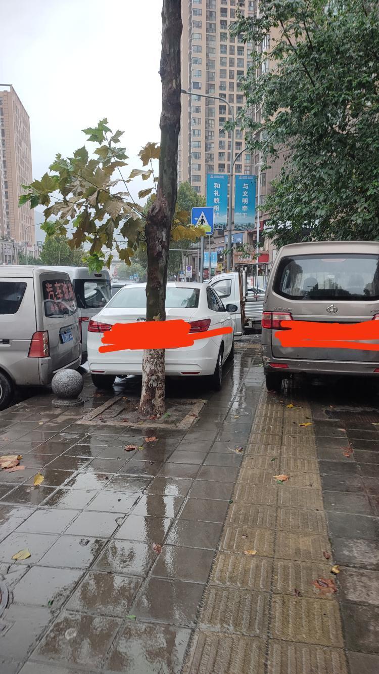 九龙坡华福大道锦翠路段很多私家车乱停乱放,不按规定停靠到停车位上
