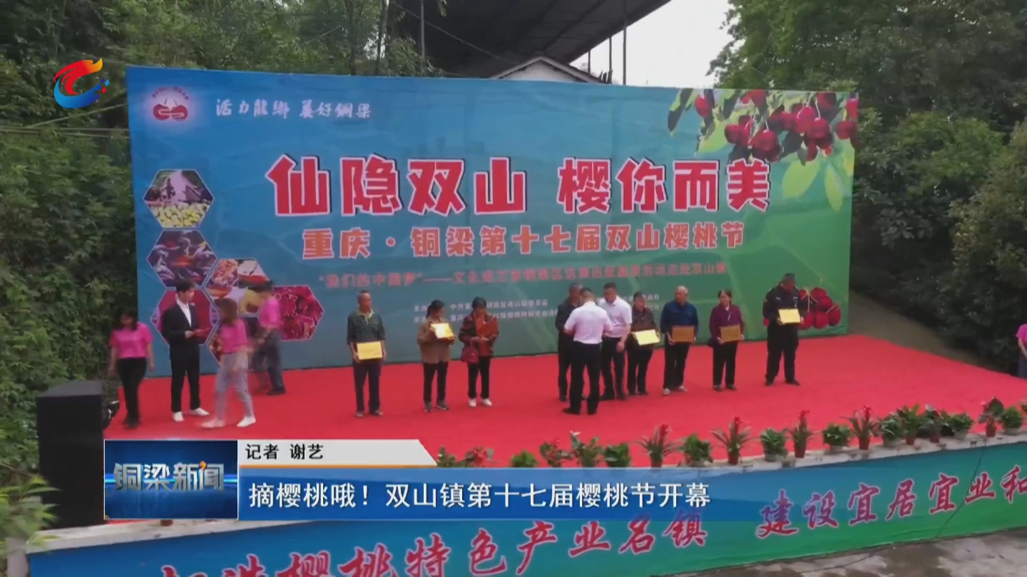 【视频】摘樱桃哦!双山镇第十七届樱桃节开幕——铜梁网