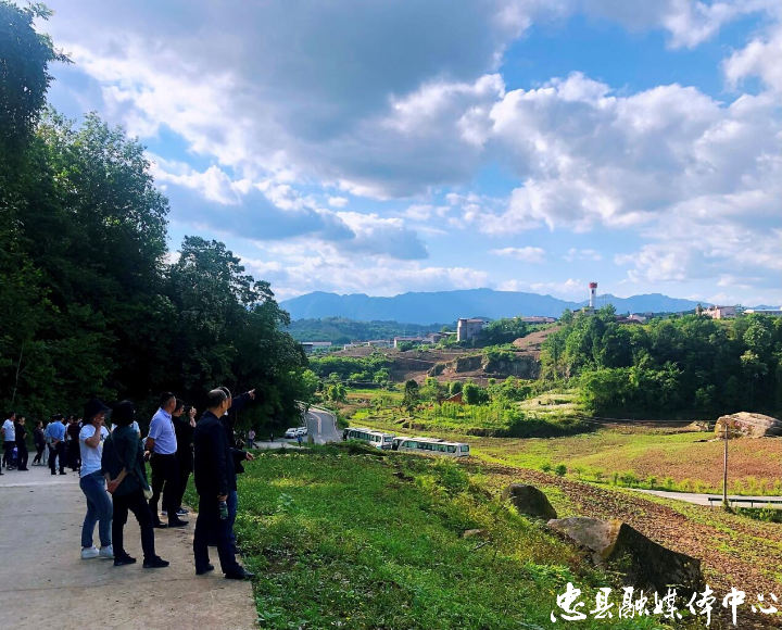 官坪村油葵基地迎來取經者