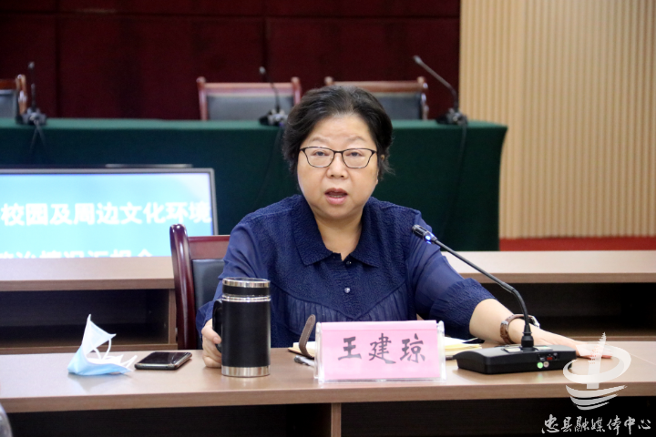 王建琼:努力营造良好的文化环境