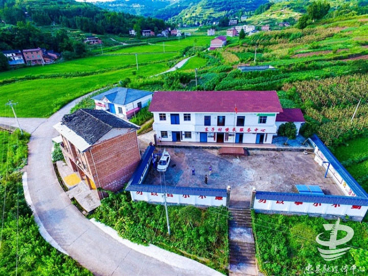 野鹤镇属典型的丘陵地型,坡坡坎坎分布极不规律,好在东子村有连片且较