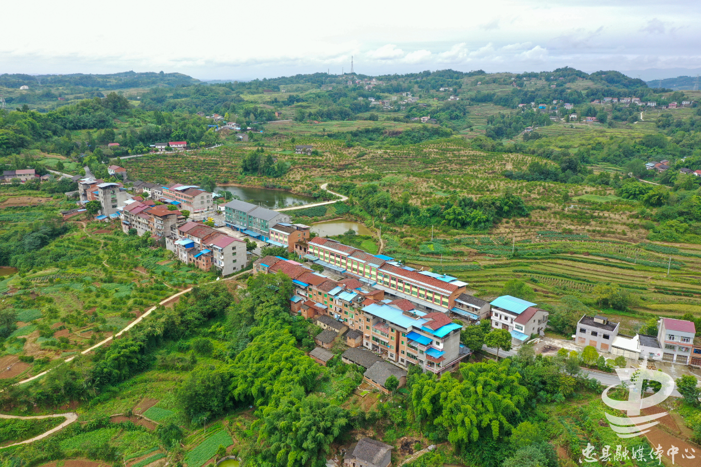 双桂镇:建一园二区四地 绘橘乡荷海·醉美双桂