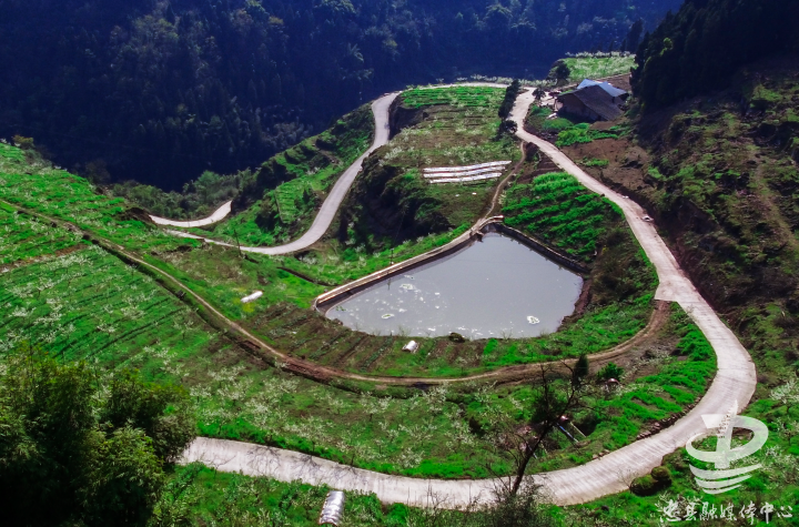 石黄镇打造特色产业重镇