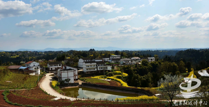 官坝镇高品质打造桑果之乡醉美官坝