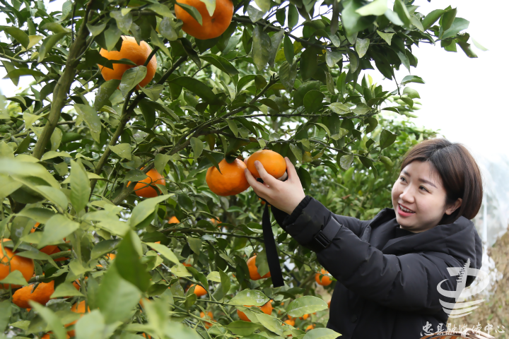 社会-忠县-新闻中心-忠州新闻网