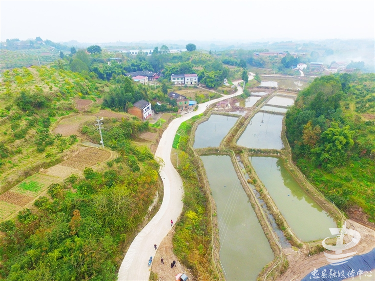 浙江乡村“抱团”易游娱乐城- YY易游体育官方网站- 易游体育APP联动发展：从“一村探路”到“千村共富”
