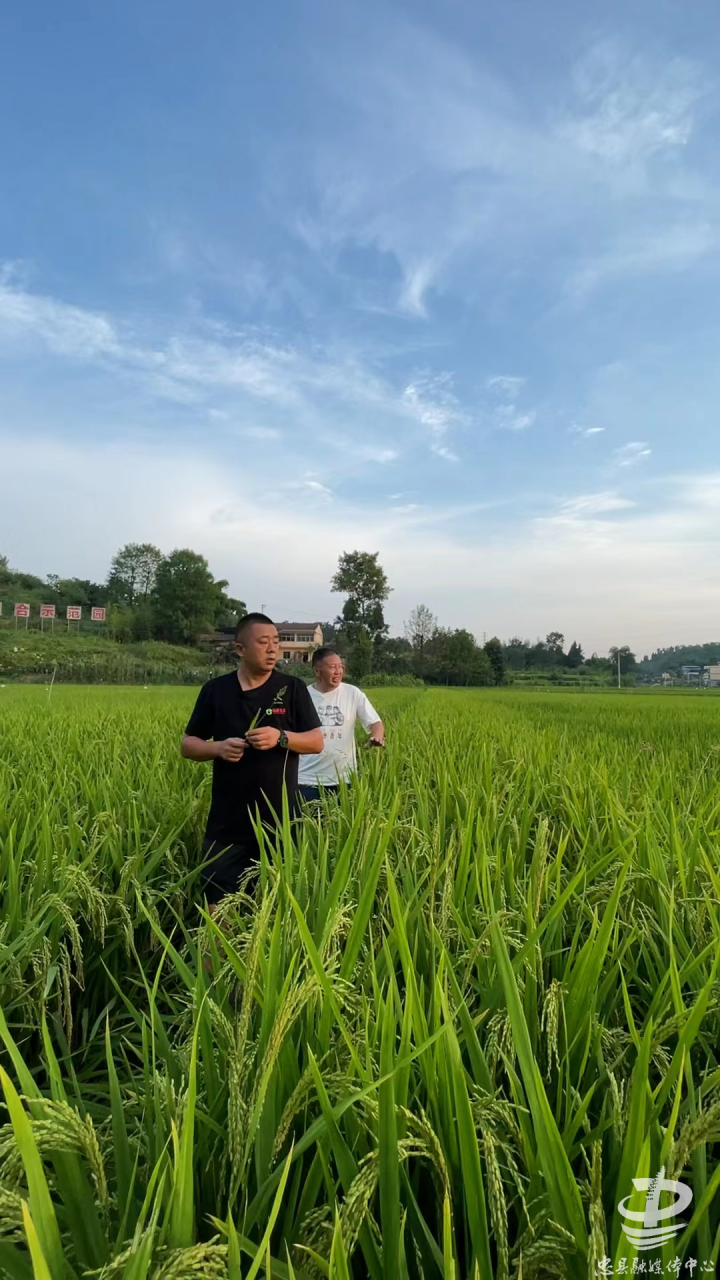 小峰回农村打开一扇窗