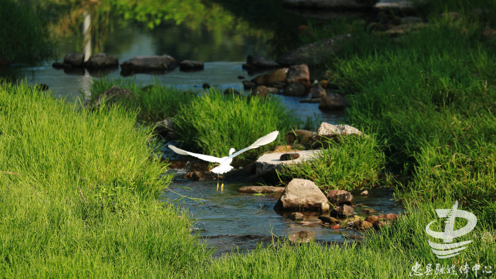 龙滩水库一潭秋水似碧玉