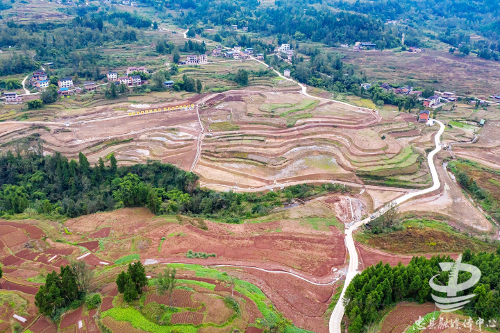 汝溪镇:7个以工代赈项目成乡村全面振兴新"引擎"-社会-忠县-新闻中心