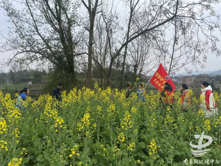 复兴镇开展禁种铲毒踏查行动