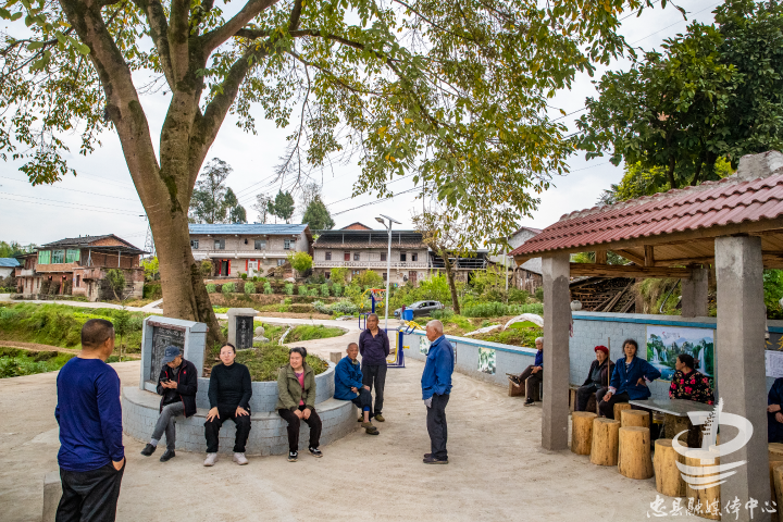 保护大树永丰镇92名村民踊跃捐款