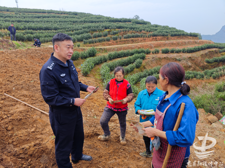 白石镇:开展禁种铲毒踏查行动-社会-忠县-新闻中心-忠州新闻网