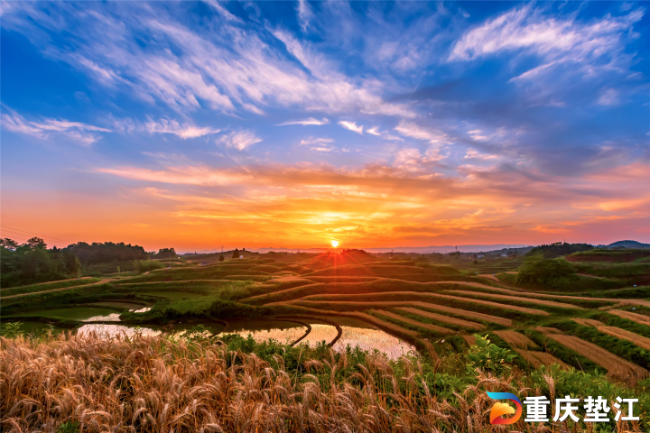 今年,重庆市垫江县永平镇利用宜机化整治后的土地,集中连片发展小麦
