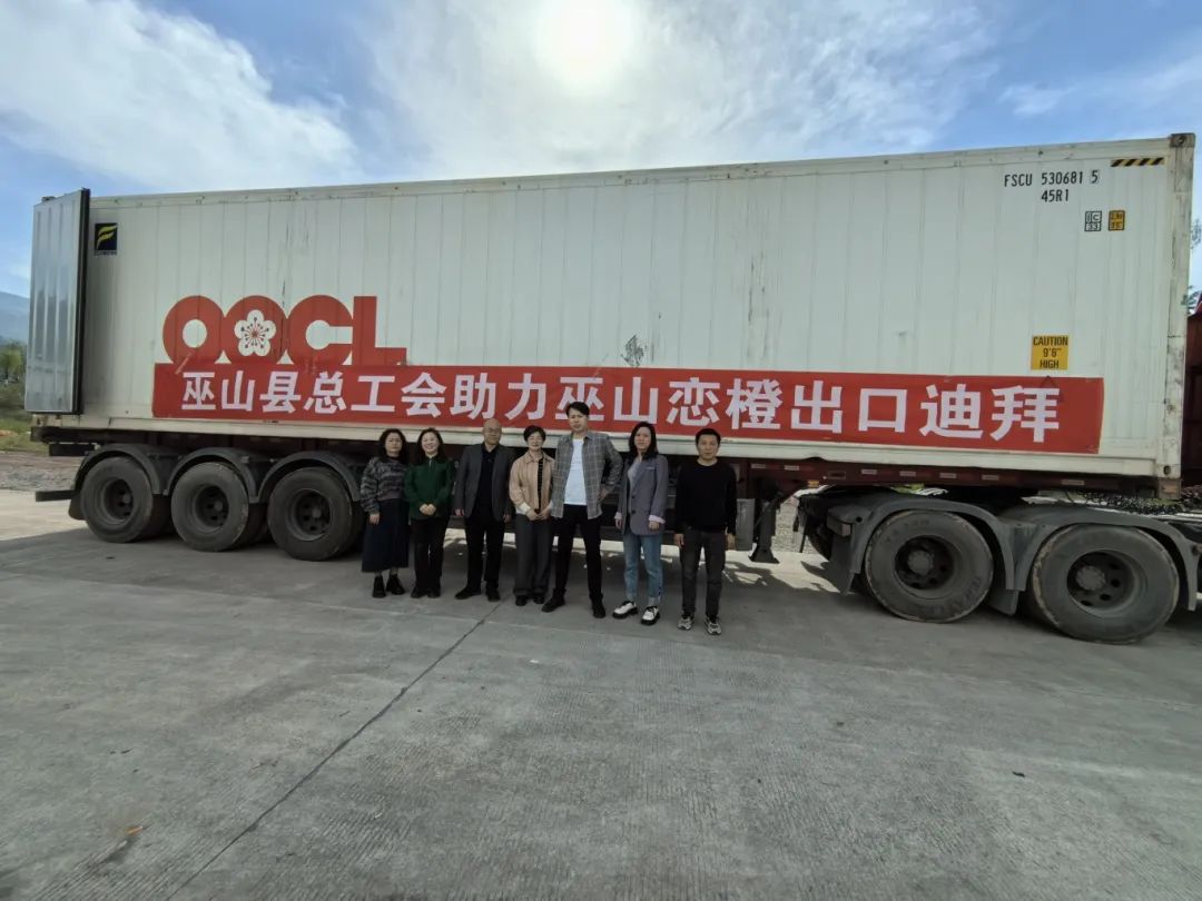 借船出海巫山恋橙出口迪拜