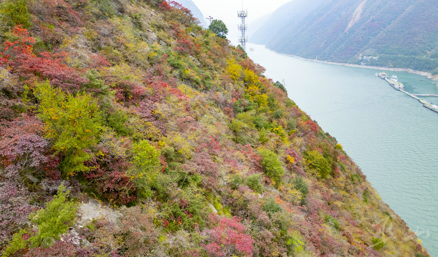 这里有群“彩色的山”