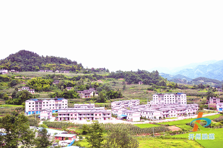 开州区铁桥镇龙泉村驻村工作队抓产业办实事解难题