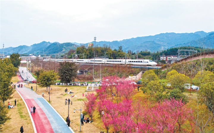 梁平7地上榜《公园里的春天——2025年重庆市城市公园春季赏花指南》