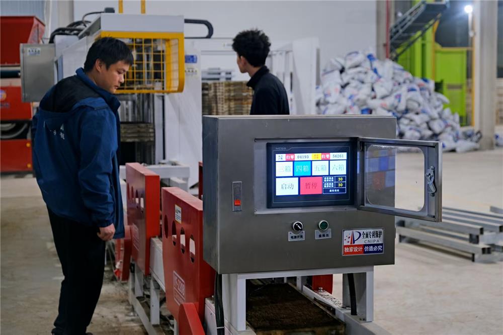 工厂育秧成潮流 科技提效保农时