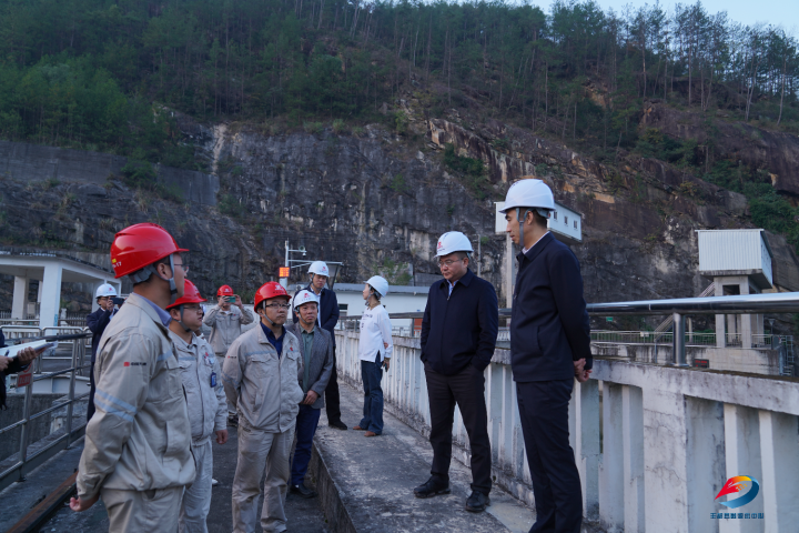 唐守渊:统筹推进河道岸线治理和生态环境优化 使龙河丰都段真正成为