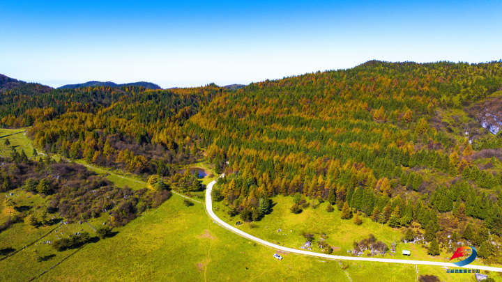 丰都轿子山秋日限定美景上线,快来打卡-丰都新闻网