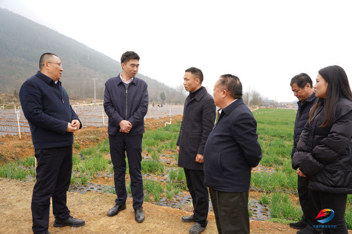 唐守渊:坚定发展信心 推动乡村产业高质量发展-丰都新闻网