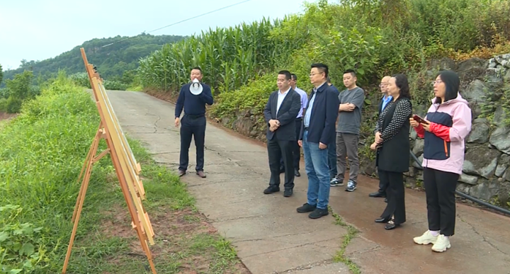 丰都5g融媒消息20240530