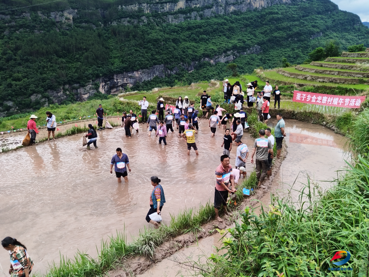 【网络中国节·端午】丰都:多彩活动迎端午 传统文化氛围浓