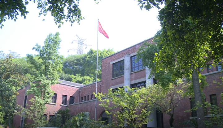 重庆美术公园落户九龙半岛以川美新貌开启新征程