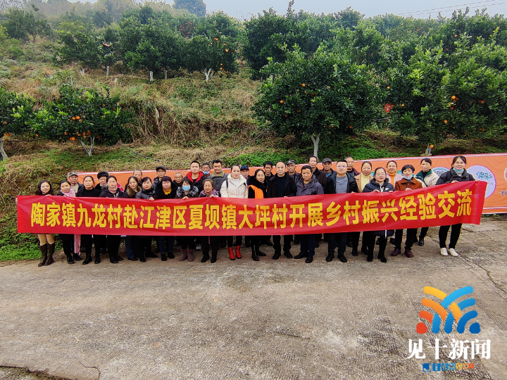 陶家镇九龙村赴江津区开展乡村振兴经验交流活动