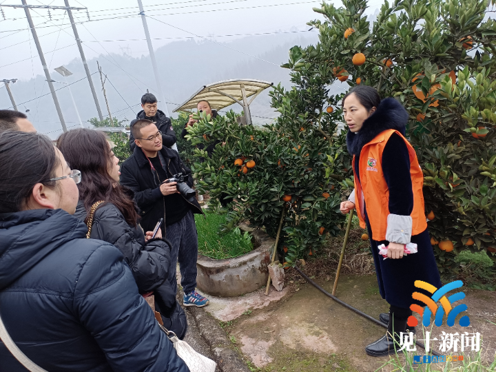 陶家镇九龙村赴江津区开展乡村振兴经验交流活动