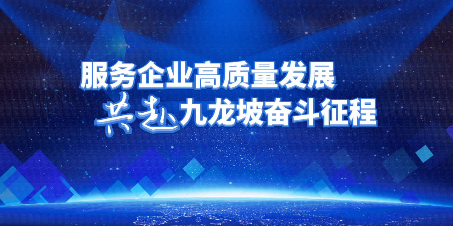 服务企业高质量发展 共赴九龙坡奋斗征程