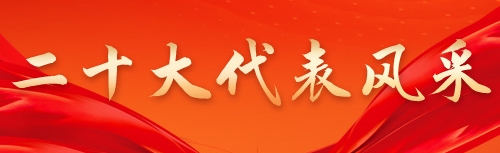 二十大代表風采