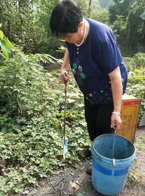 一品街道：村头的垃圾堆不见了，臭水沟被清理过了