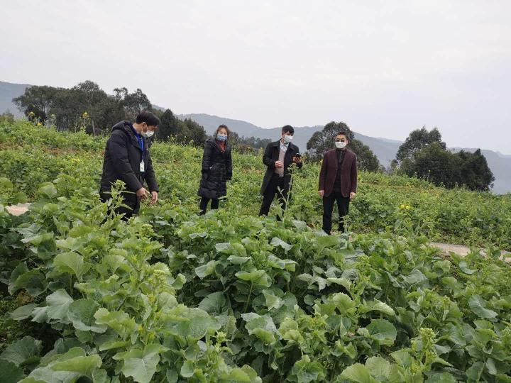 与农时赛跑！一品街道疫情防控和春耕备种一样都不能少