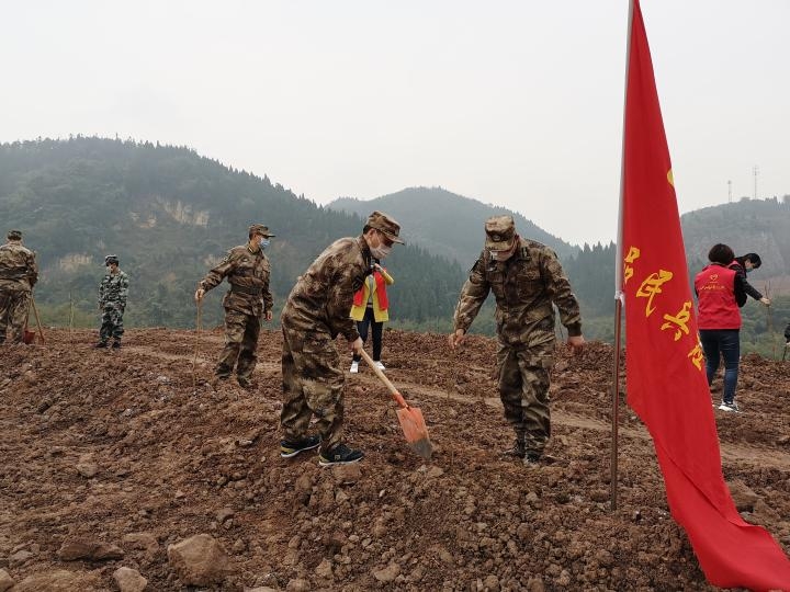 种下绿色，收获希望！一品街道军民同栽树，写祝福，挂卡片······