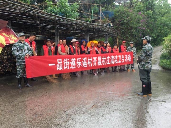 助力人居环境改善  一品为乡村环境按下“美颜键”